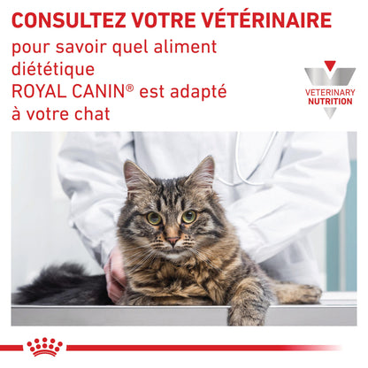 Royal Canin Veterinary Urinary S/O - Aliment pour chat