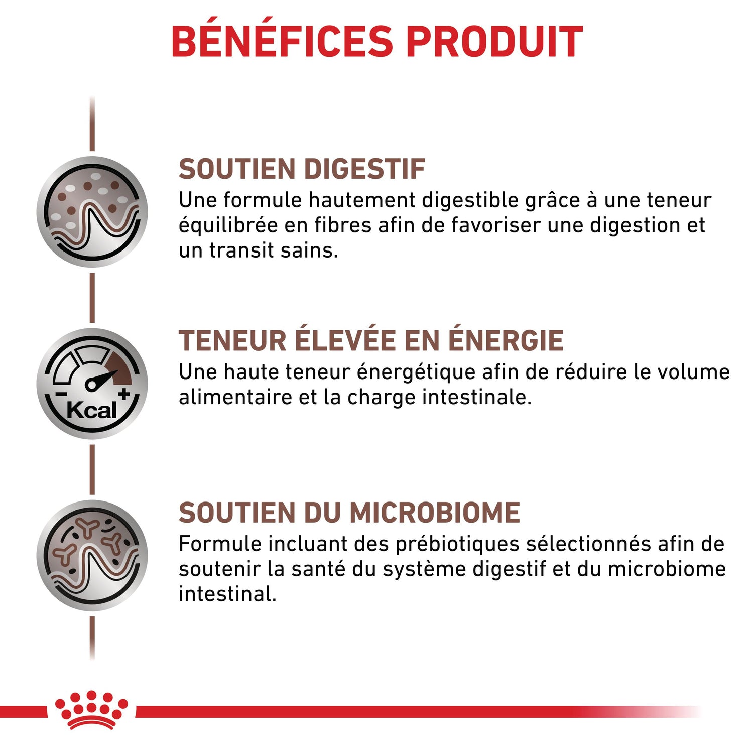 Royal Canin Veterinary Gastrointestinal - Pour chat