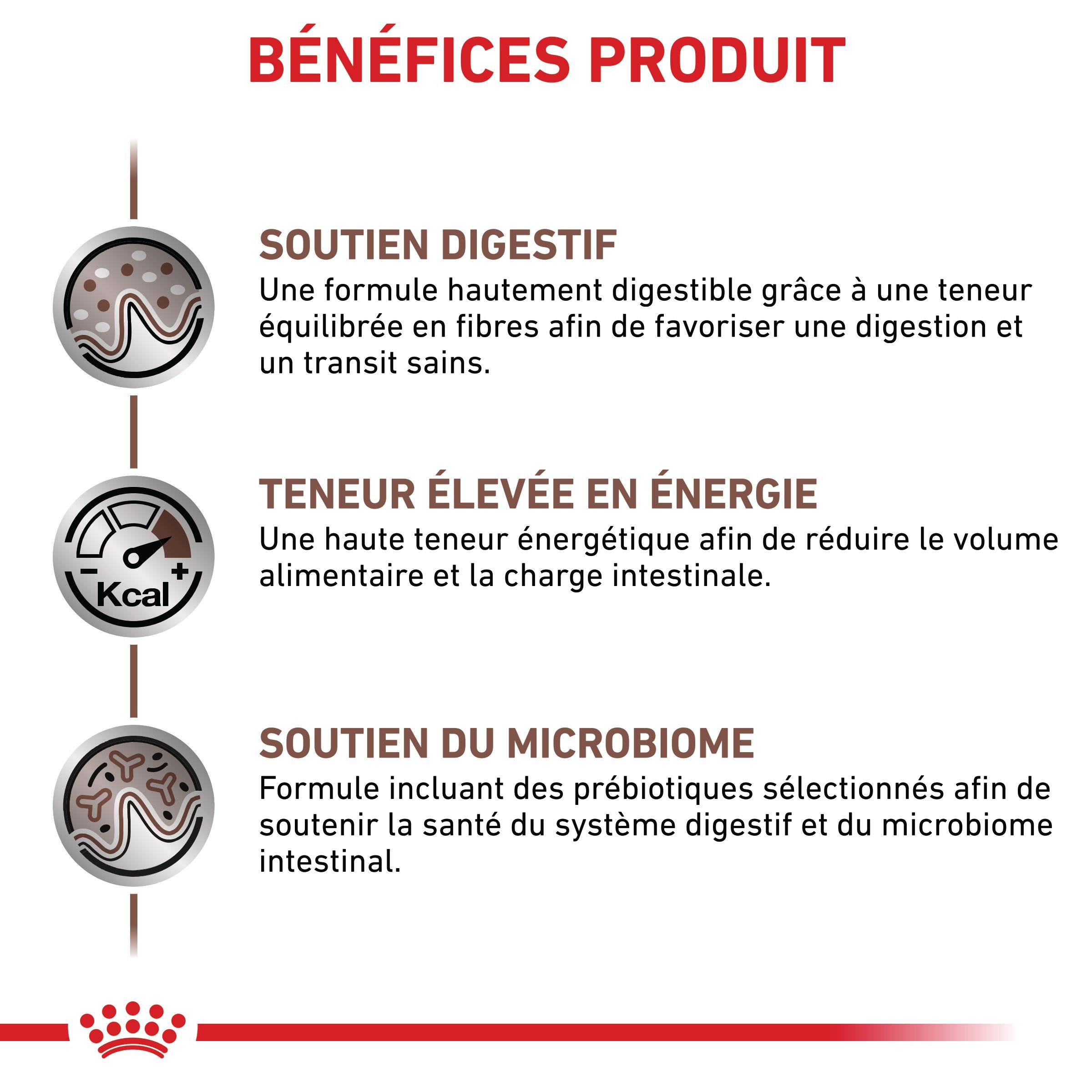 Royal Canin Veterinary Gastrointestinal - Pour chat
