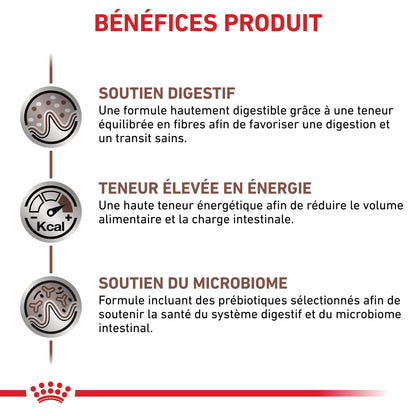 Royal Canin Veterinary Gastrointestinal - Pour chat