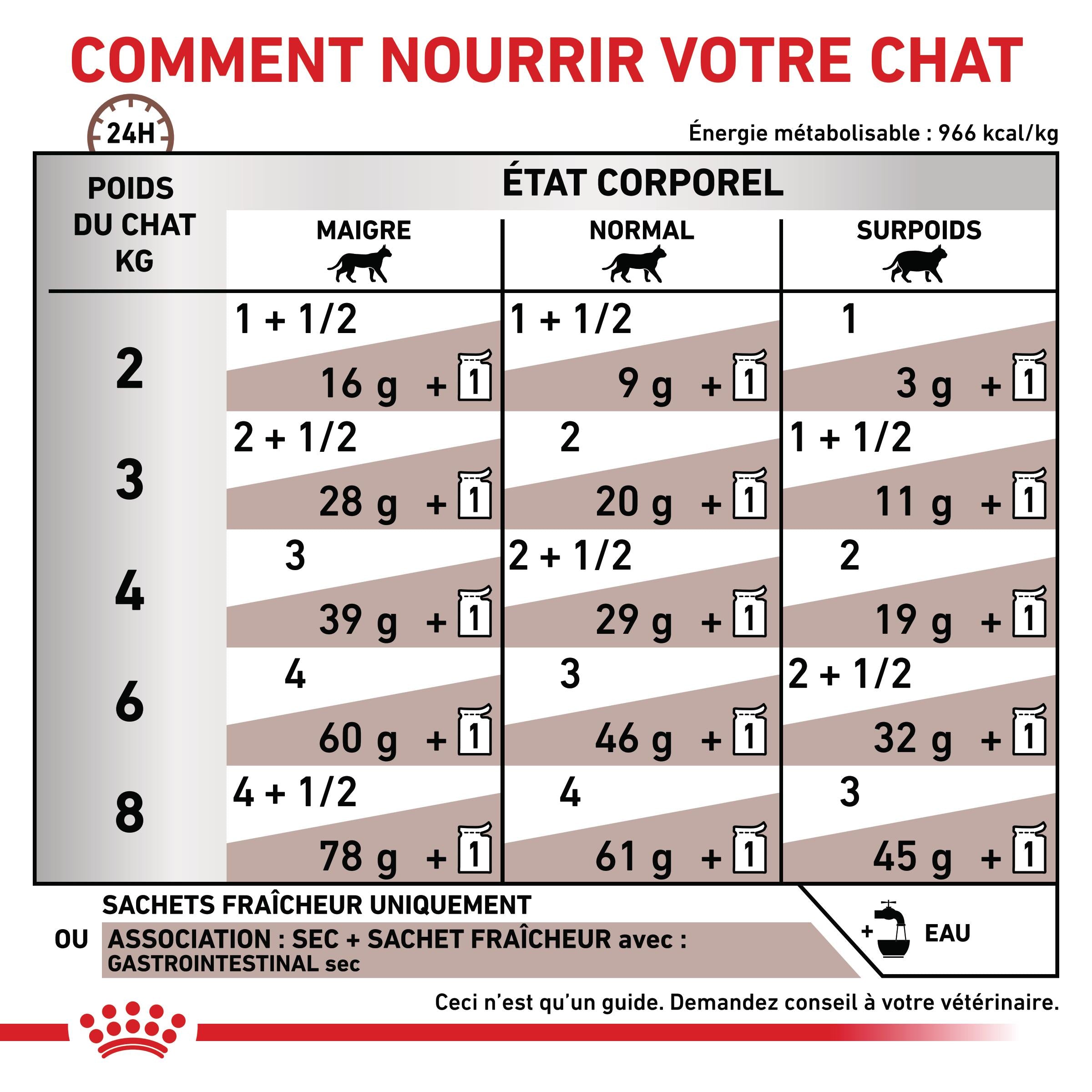 Royal Canin Veterinary Gastrointestinal - Pour chat