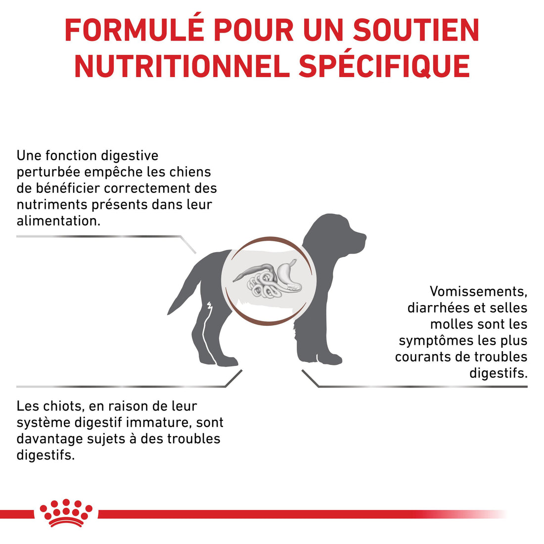 Royal Canin Veterinary Health Nutrition Puppy Gastrointestinal