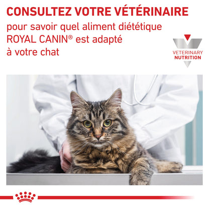 Royal Canin Veterinary Gastrointestinal Kitten