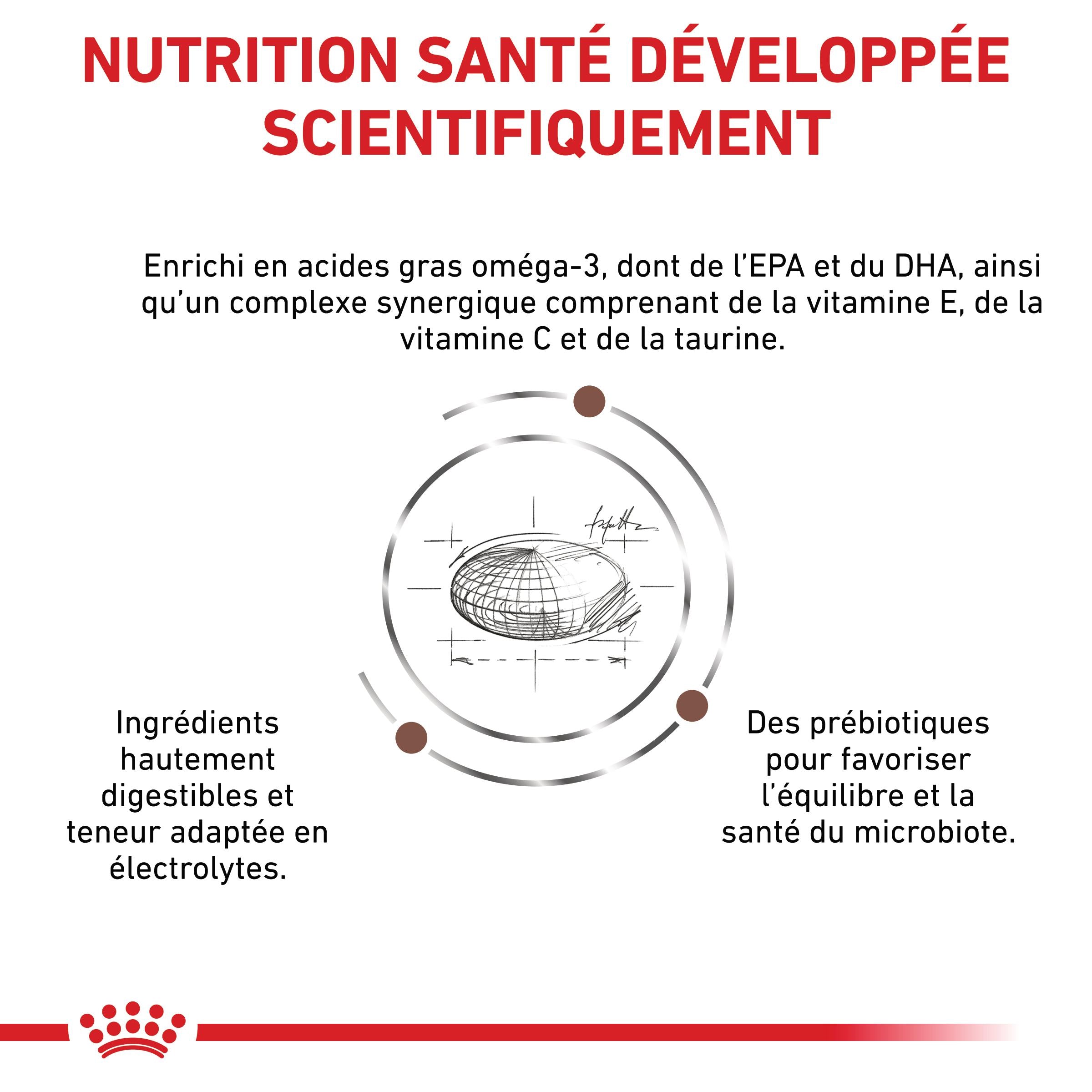 Royal Canin Veterinary Gastrointestinal Low Fat - croquettes chien
