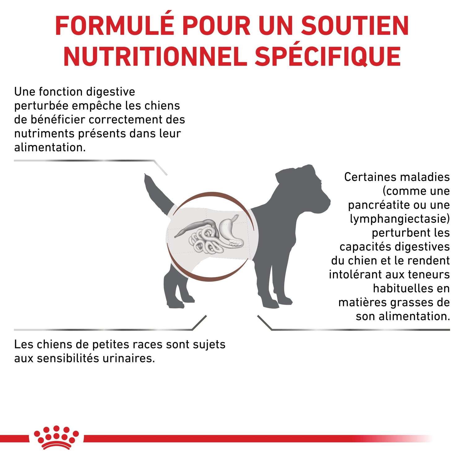 ROYAL CANIN Veterinary Gastrointestinal Low Fat Small Dog – Croquettes pour chien