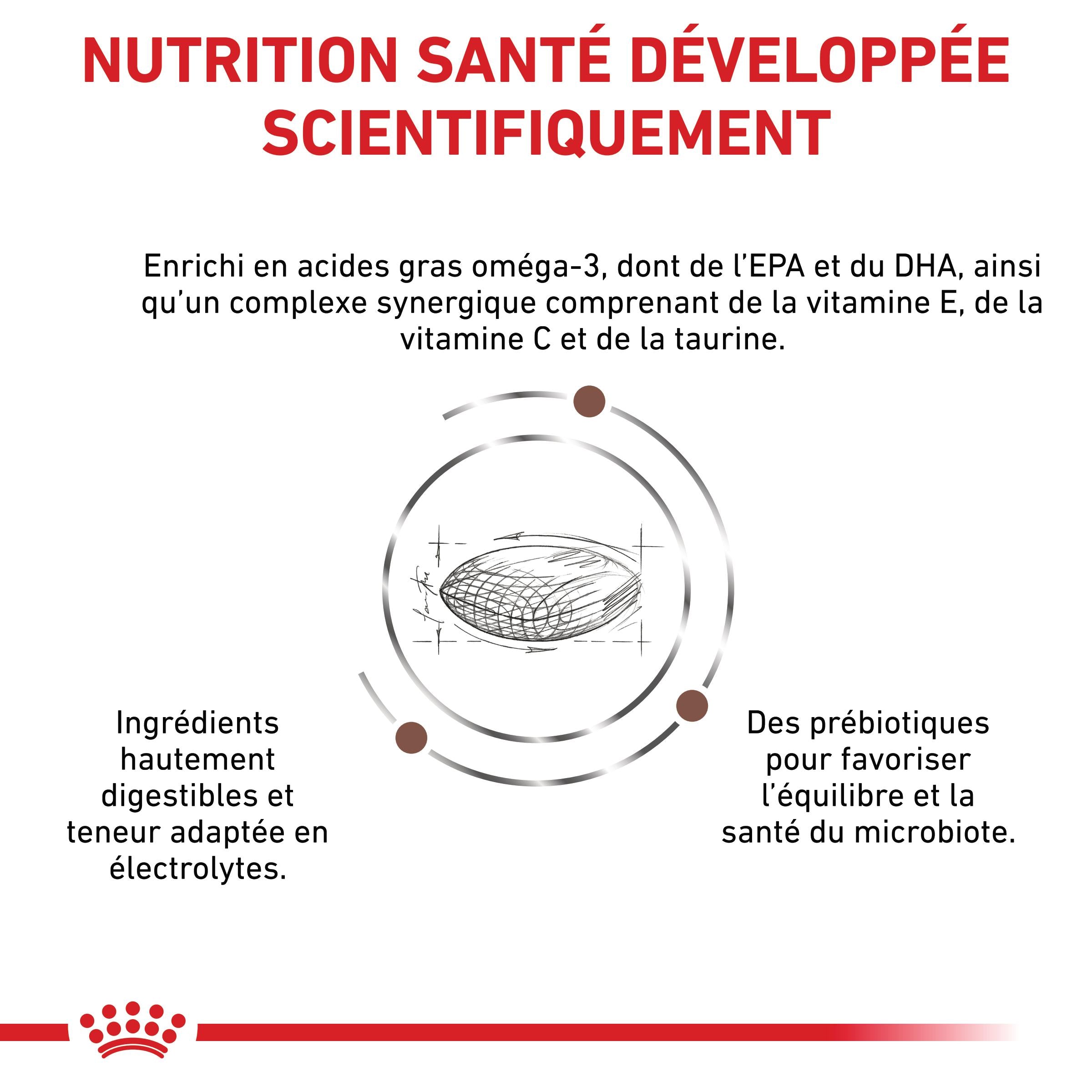 ROYAL CANIN Veterinary Gastrointestinal Low Fat Small Dog – Croquettes pour chien