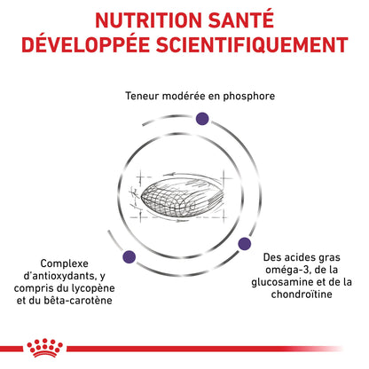 Royal Canin Vet Care Senior Consult Stage 1 Balance / Mature Consult Balance