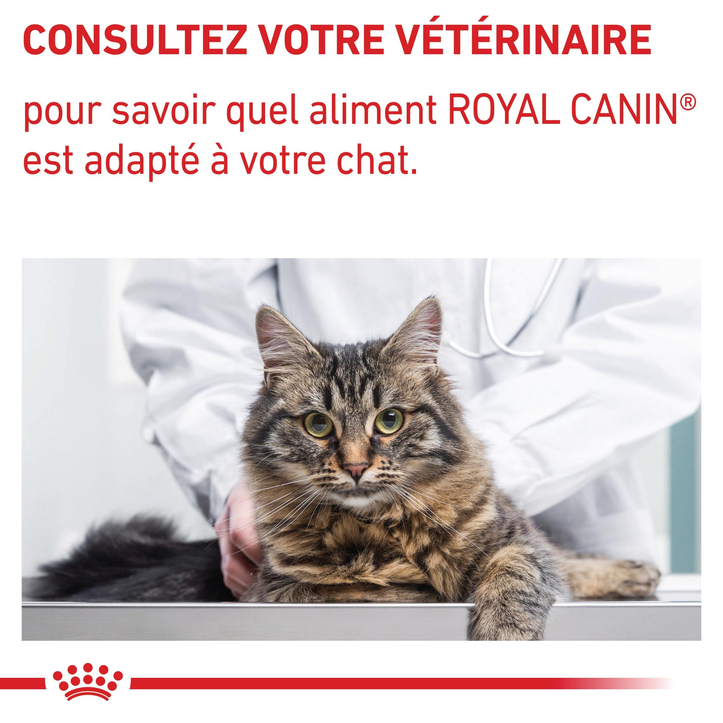 Royal Canin Veterinary Mature Consult