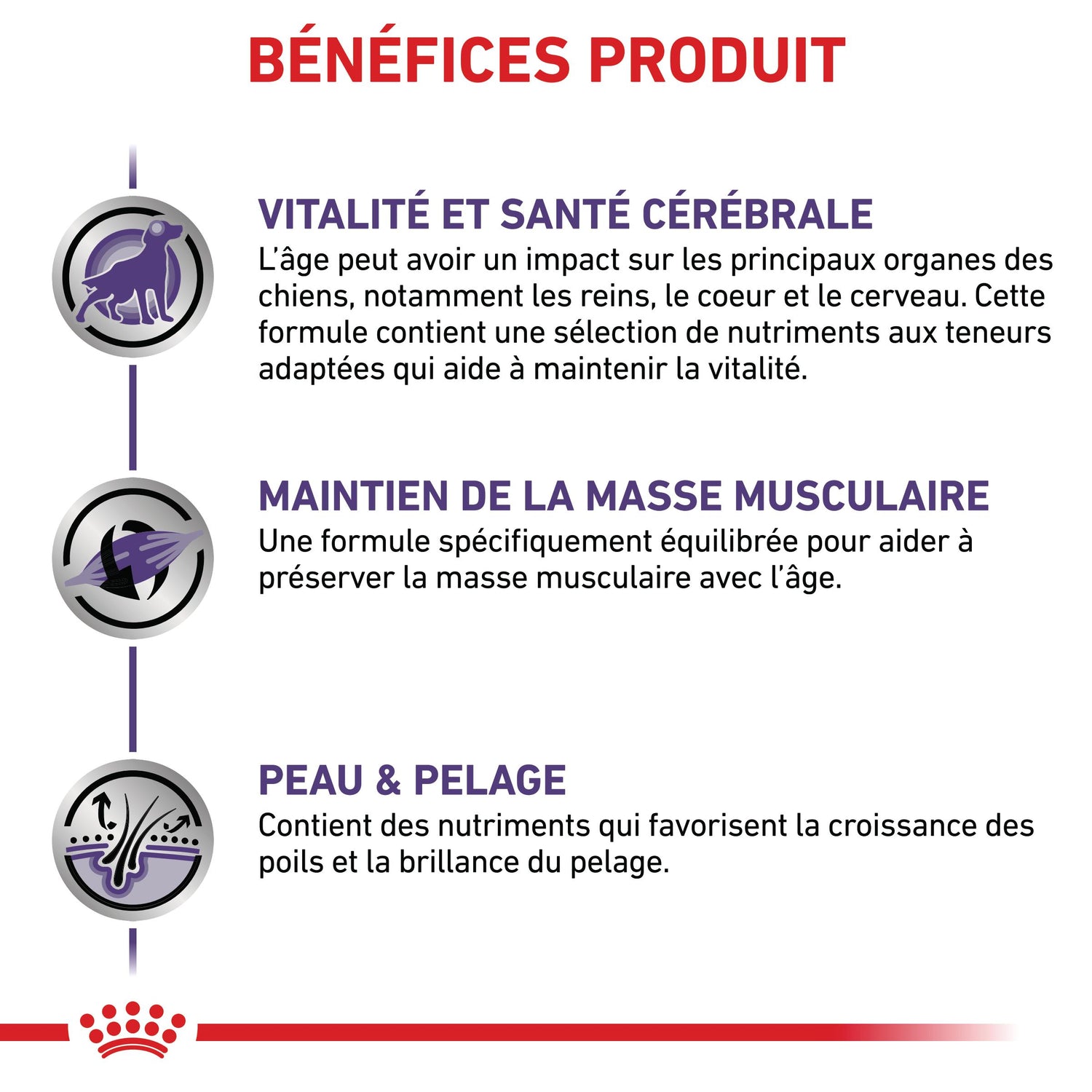 Royal Canin Veterinary Dog Mature Consult - Pâtée pour chien