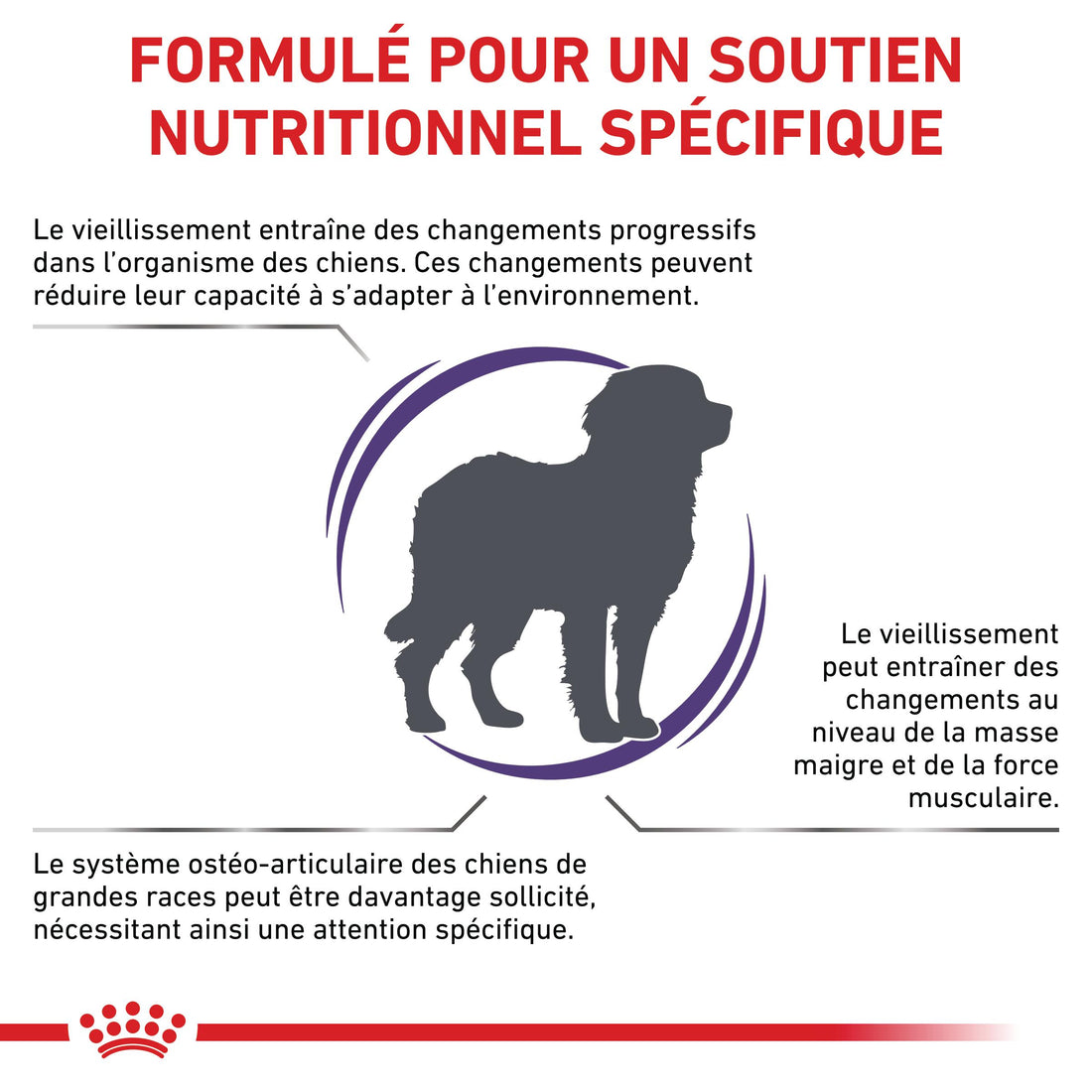 Royal Canin Vet Care Mature Large Dog