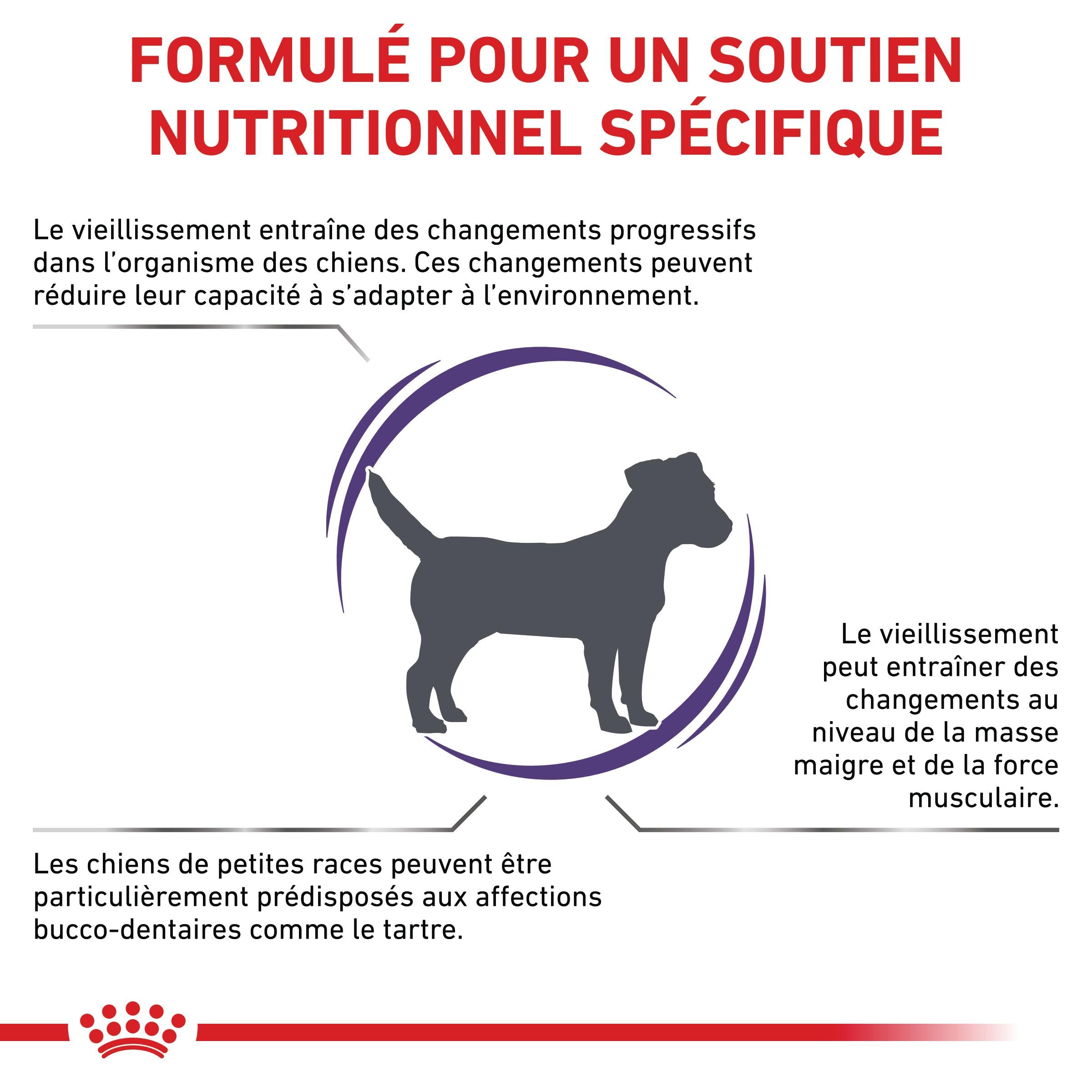 Royal Canin Vet Care Mature Small Dog / Mature Consult Small Dogs