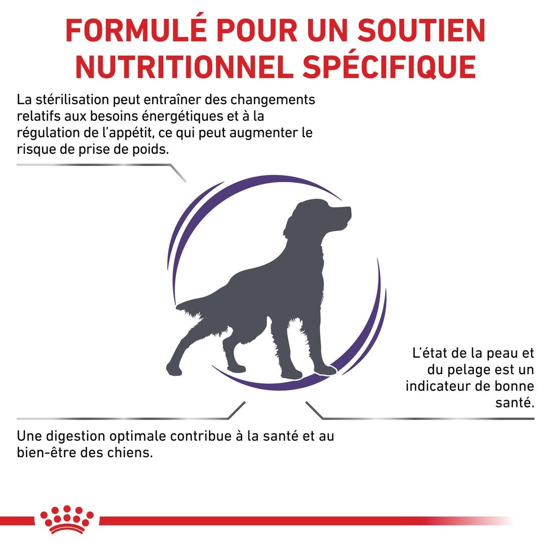 Royal Canin Veterinary Neutered Adult Medium Dogs