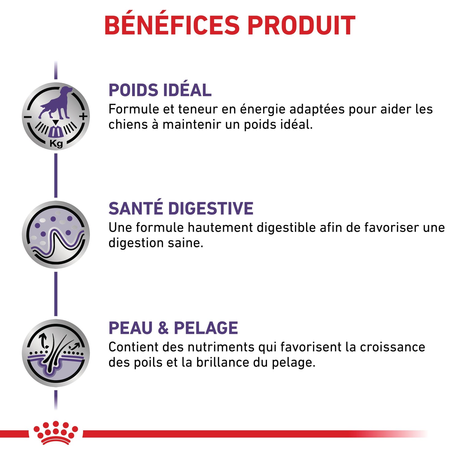 Royal Canin Veterinary Dog Neutred Adult - Pâtée pour chien