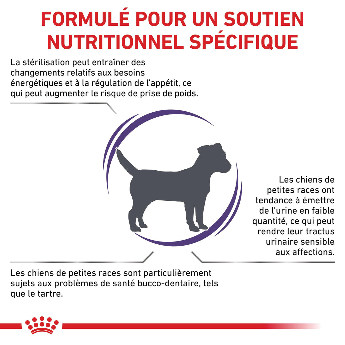 Royal Canin Veterinary Neutered Adult Small Dog - Croquettes pour chien