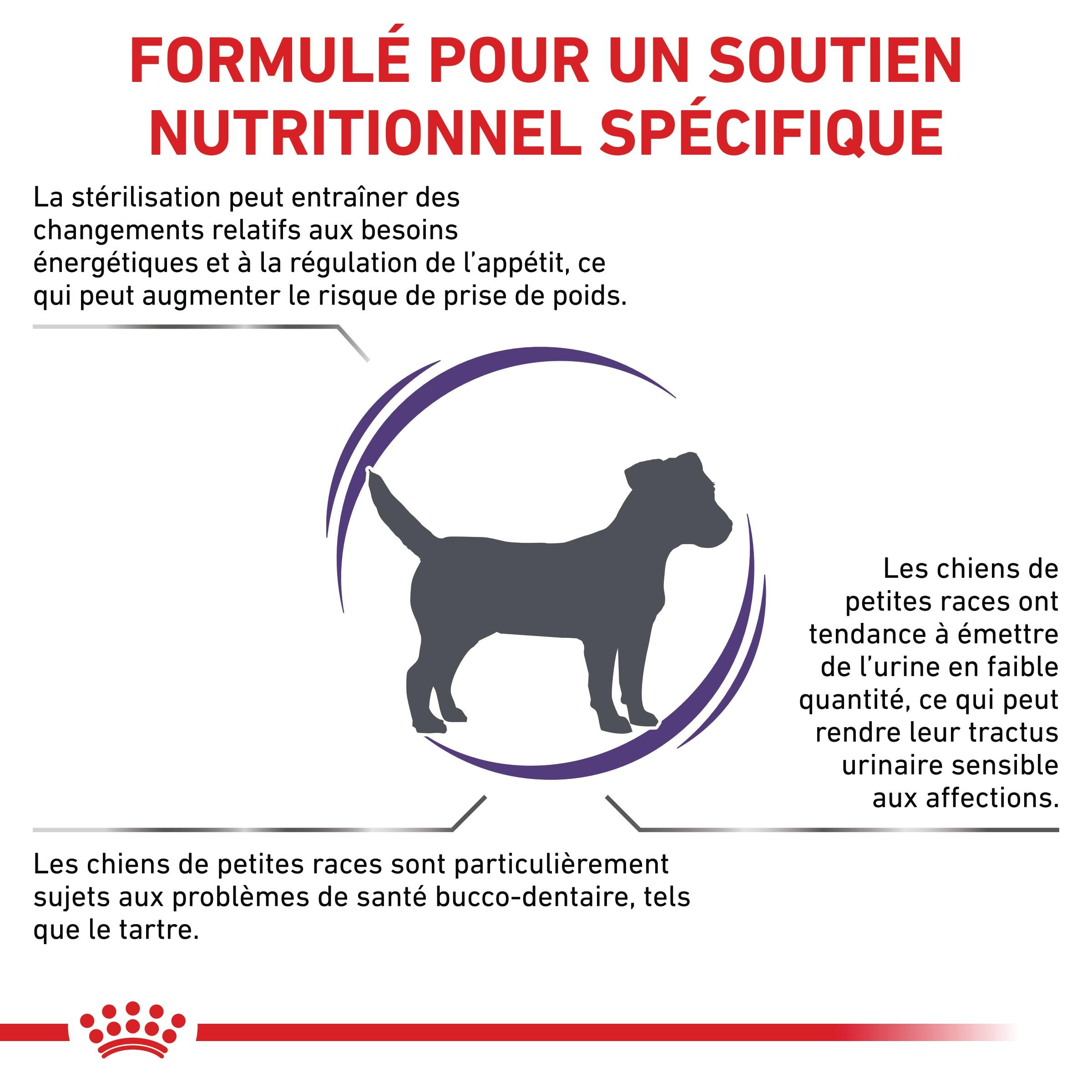 Royal Canin Veterinary Neutered Adult Small Dog - Croquettes pour chien