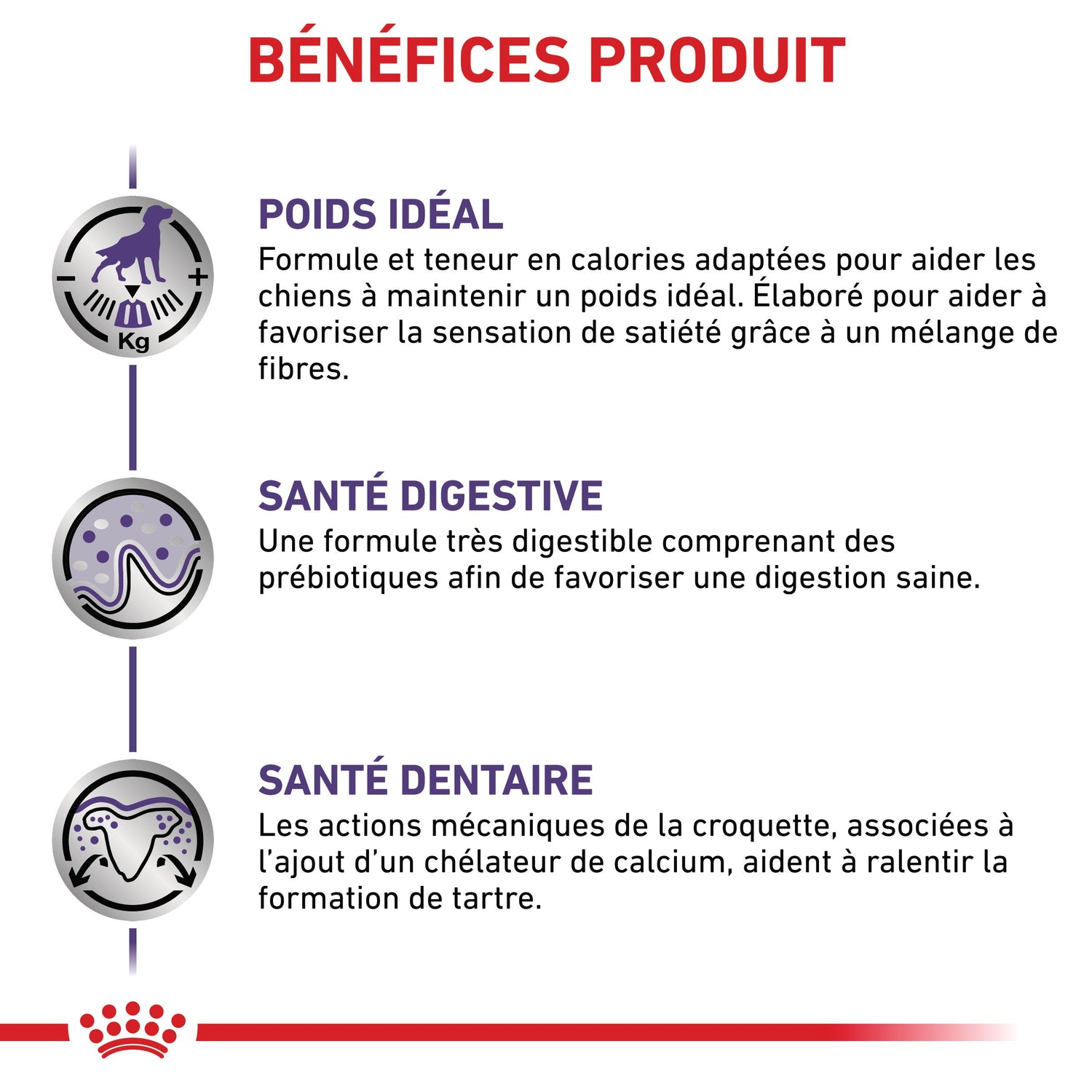 Royal Canin Veterinary Neutered Adult Small Dog - Croquettes pour chien