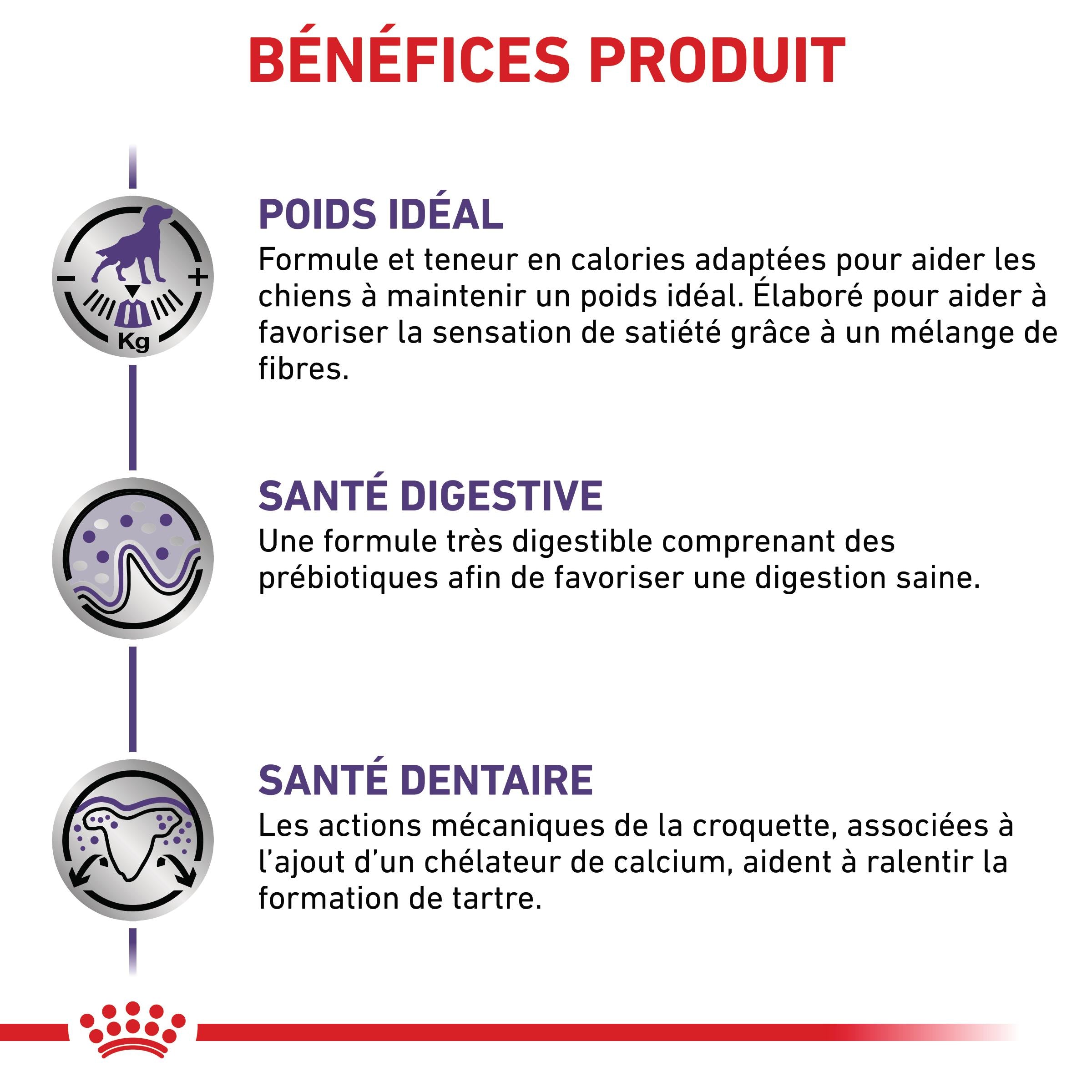 Royal Canin Veterinary Neutered Adult Small Dog - Croquettes pour chien
