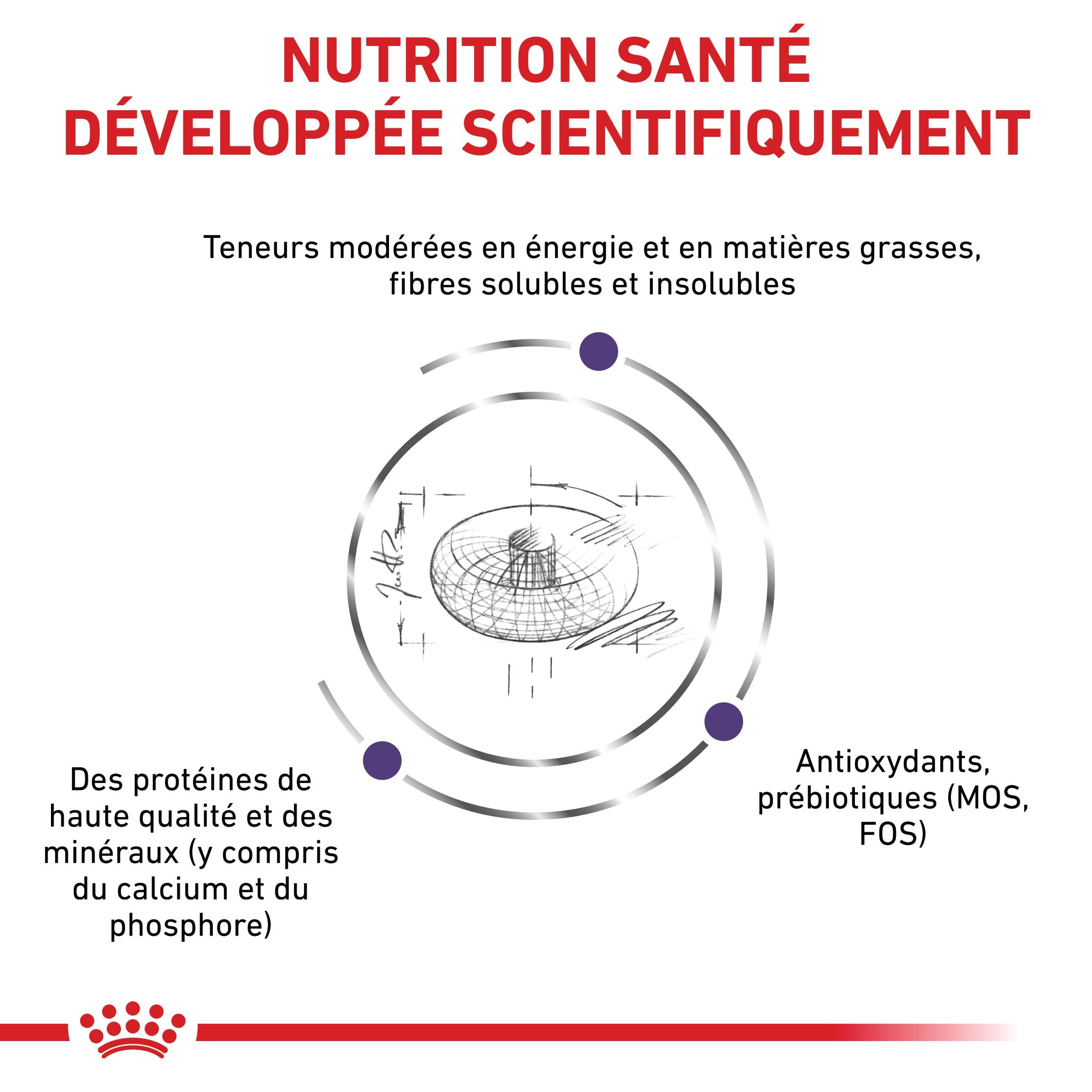 Royal Canin Veterinary Neutered Junior Dog - Croquettes pour chiot