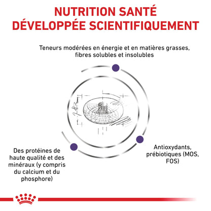 Royal Canin Veterinary Neutered Junior Dog - Croquettes pour chiot