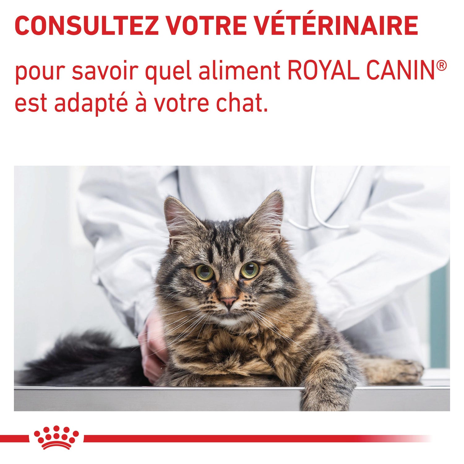 Royal Canin Neutered Balance
