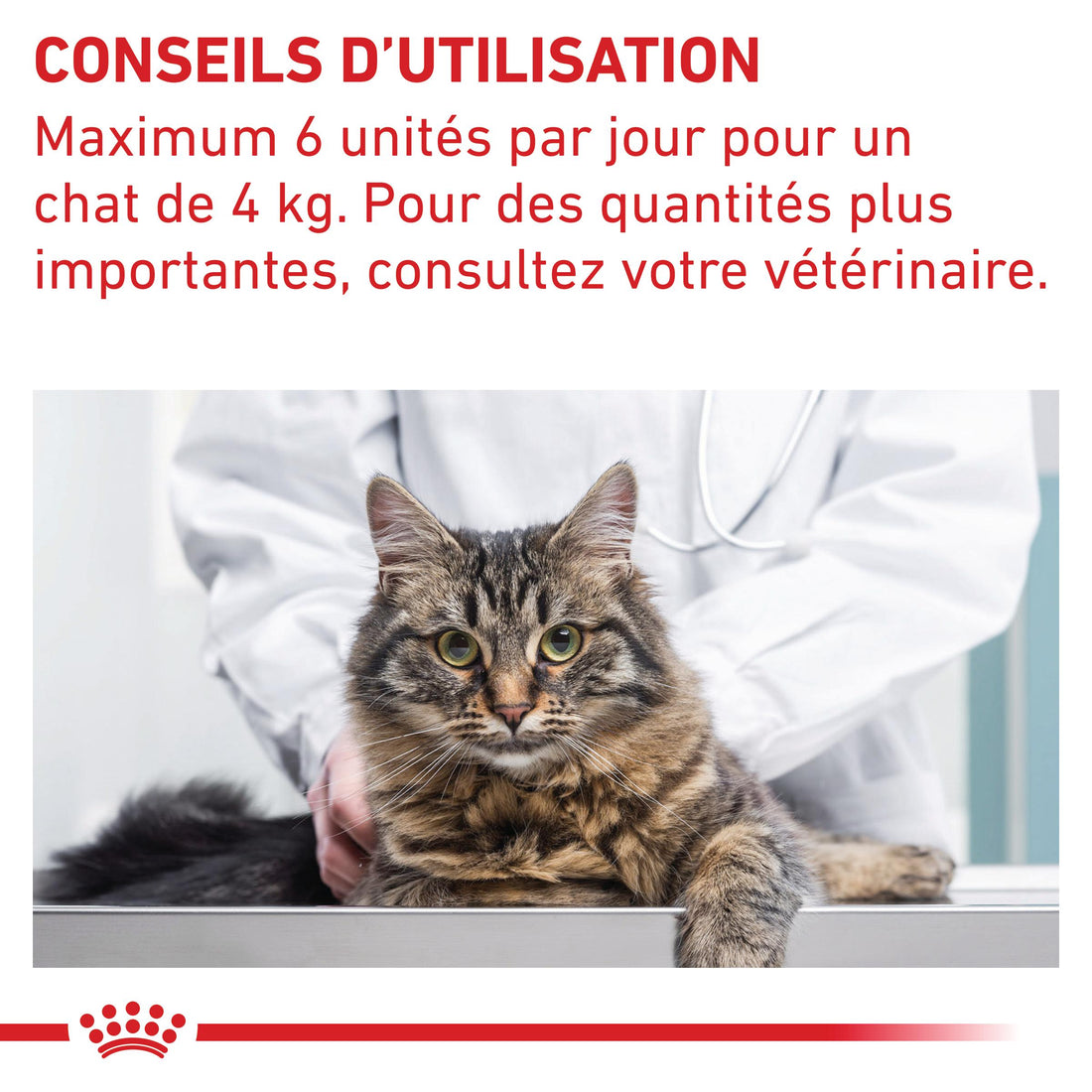 Pill Assist Cache comprimés Chat