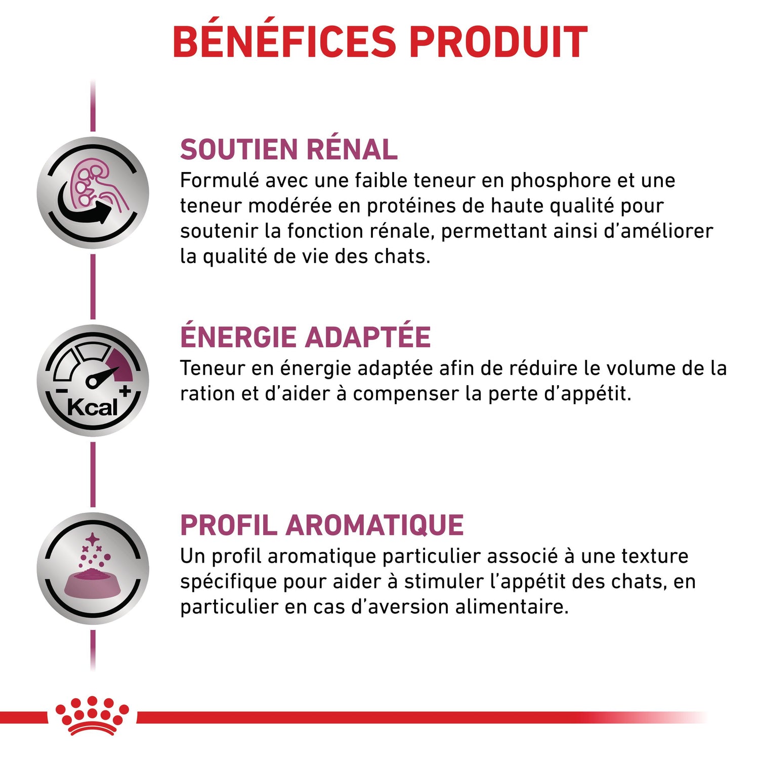 Royal Canin Veterinary Renal - Aliment pour chat