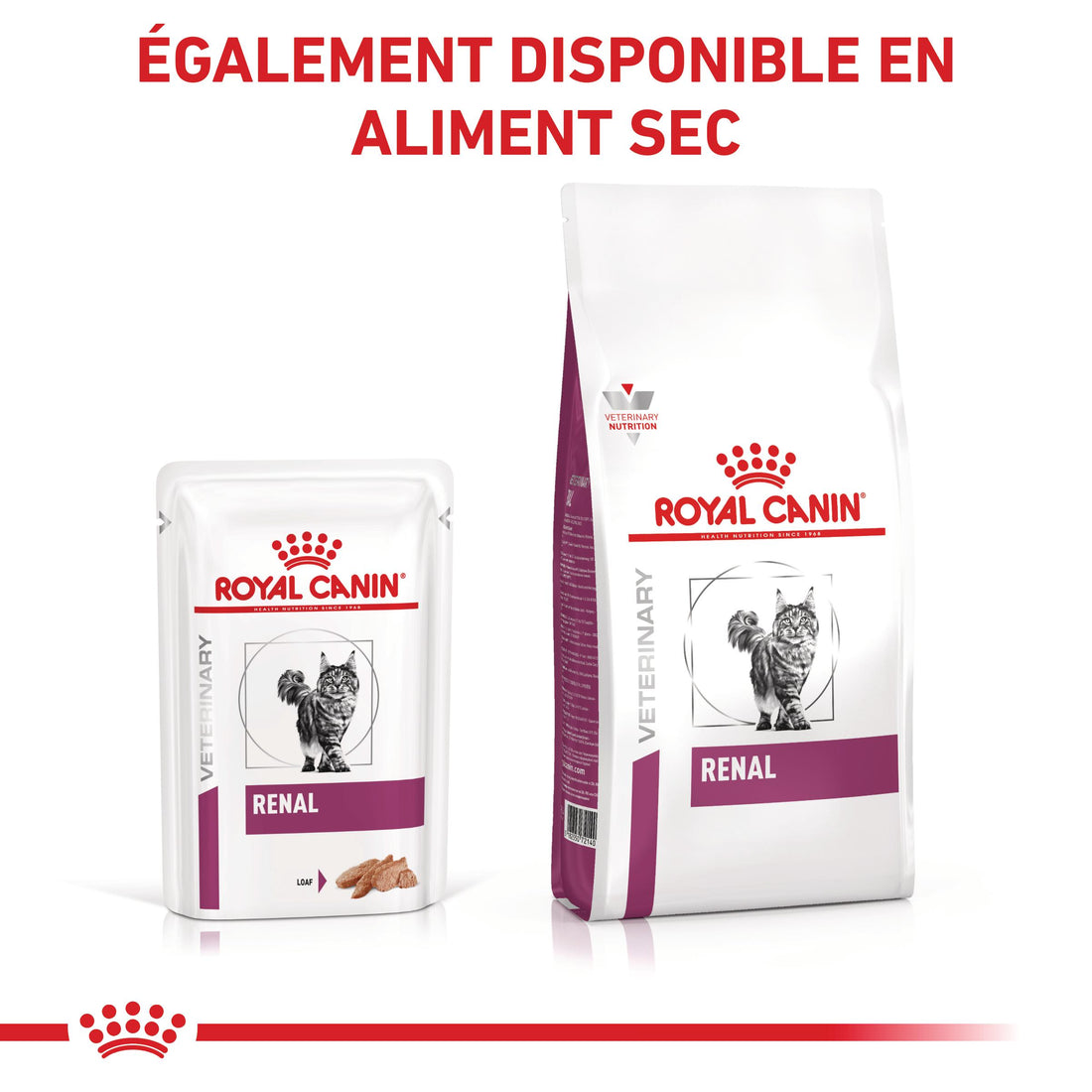 Royal Canin Veterinary Renal - Aliment pour chat