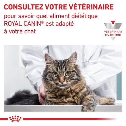 Royal Canin Veterinary Renal - Aliment pour chat