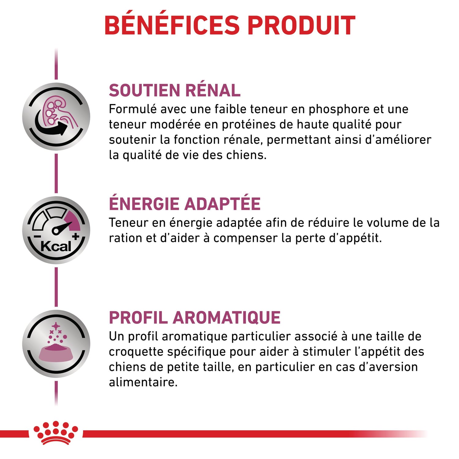 Royal Canin Veterinary Renal Small Dog - Croquettes pour chien