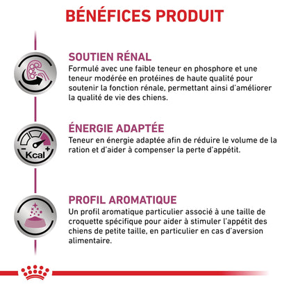 Royal Canin Veterinary Renal Small Dog - Croquettes pour chien