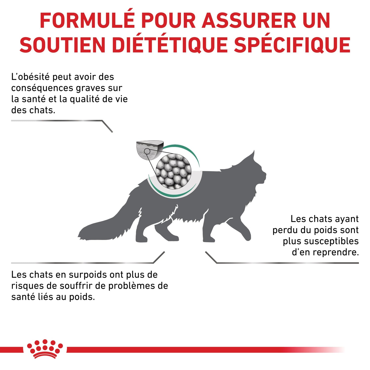 Royal Canin Veterinary Satiety Weight Management - Aliment pour chat