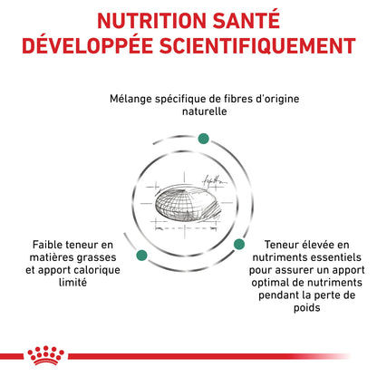 Royal Canin Veterinary Satiety Weight Management - Aliment pour chat