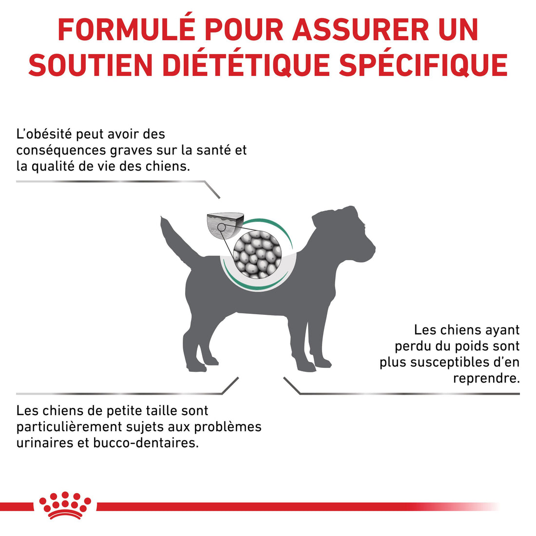 Royal Canin Veterinary Satiety Weight Management Small Dog - Croquettes pour chien