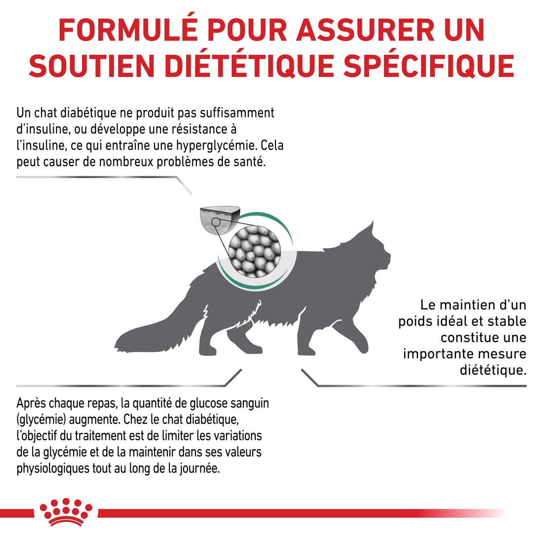 Royal Canin Veterinary Diabetic - Croquettes pour chat