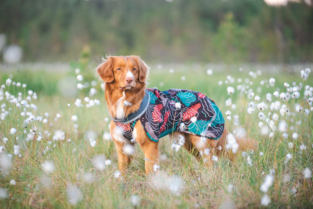 Pomppa Sade manteau imperméable pour chien Kartta