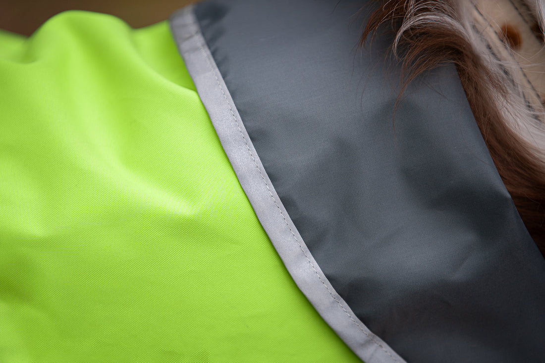 Pomppa Sade manteau imperméable pour chien Lime