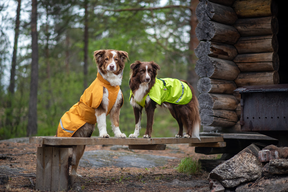 Pomppa Sade manteau imperméable pour chien Lime