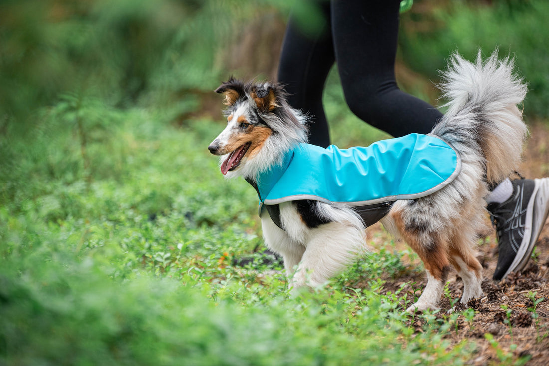 Pomppa Sportti manteau imperméable et chaud chien actif Artic
