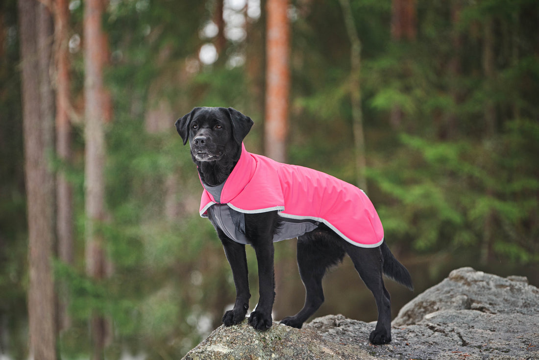 Pomppa Sportti manteau imperméable et chaud chien actif Pink