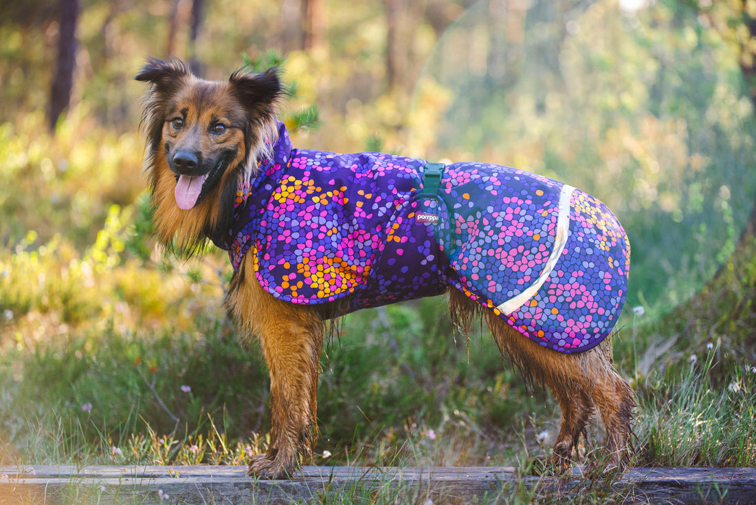 Pomppa Toppa manteau imperméable doublé pour chien Cosmos