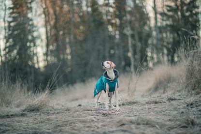 Pomppa Toppa manteau imperméable doublé pour chien Petrol