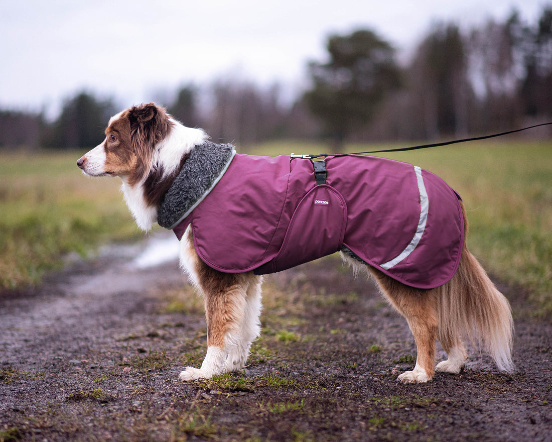 Pomppa Toppa manteau imperméable doublé pour chien Plum