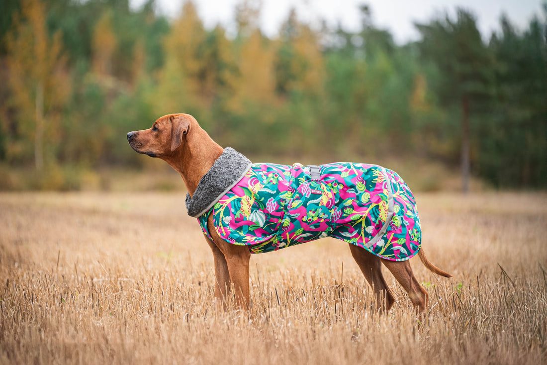 Pomppa Toppa manteau imperméable doublé pour chien Trail