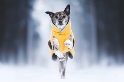 Pomppa Toppa manteau imperméable doublé pour chien Dandelion