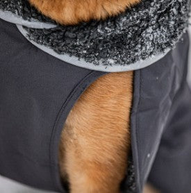 Pomppa Toppa manteau imperméable doublé pour chien Graphite