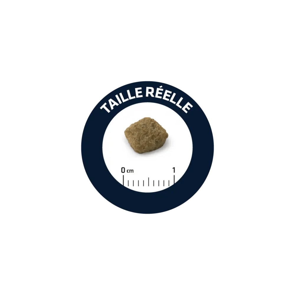 Advance Croquettes Chien Senior Mini 3kg