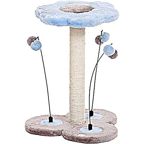 Arbre à chat Cherry fruit