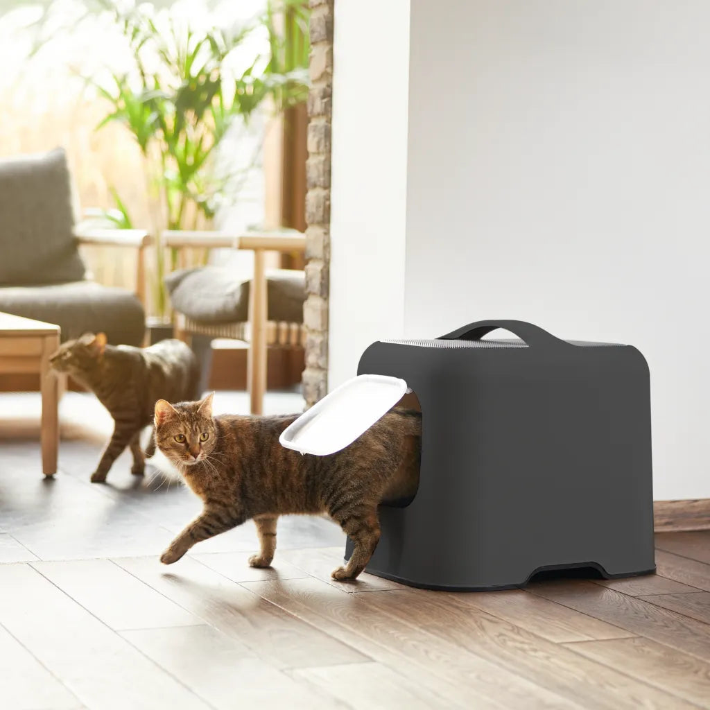 Maison de toilette Biala anthracite