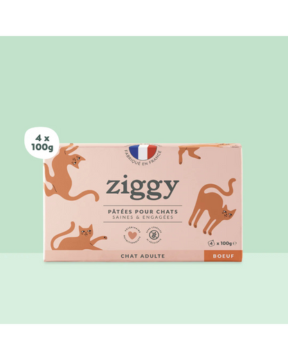 Ziggy Adult Boeuf Pâtée Pour Chat