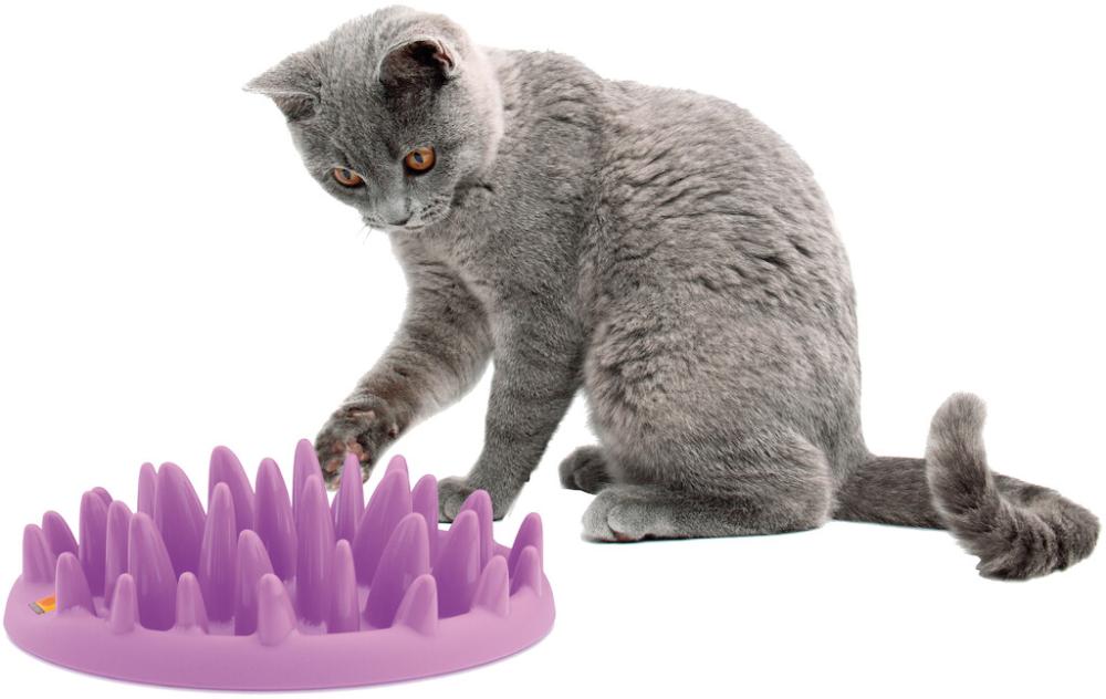 Gamelle anti-glouton avec Picots pour chat